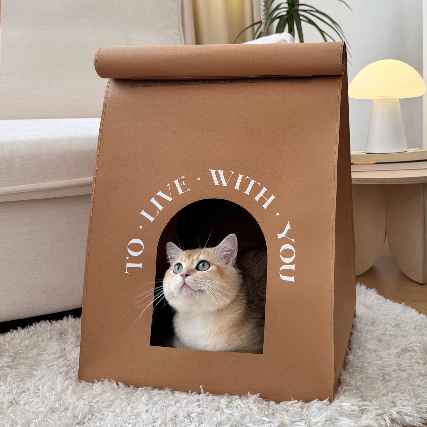 HoMings Pet Luxury Cat Scratching Board & Bed