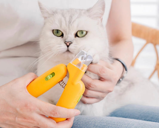 HoMings Pet Nail Clipper With LED Lights