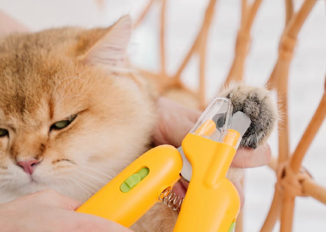 HoMings Pet Nail Clipper With LED Lights