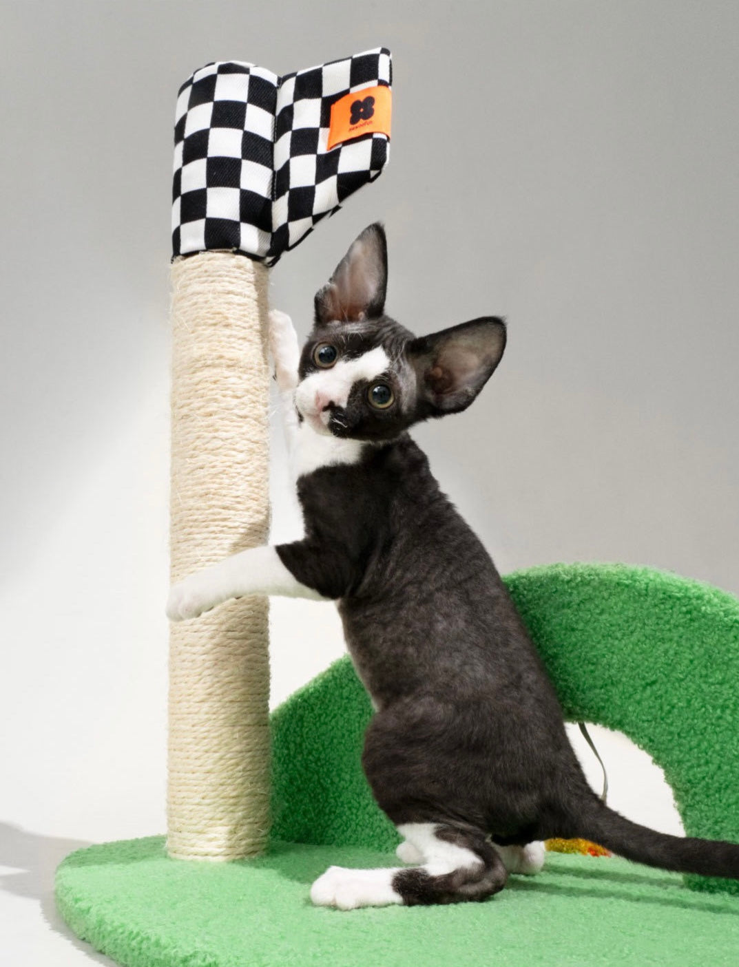 PRE-ORDER Mewoofun Cat Tree/Scratching Posts