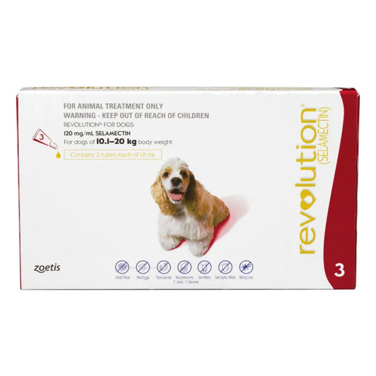 Revolution Flea Treatment 10.1-20kg