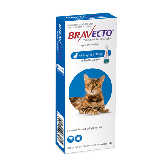 Bravecto Flea Treatment Spot-on For Cat 2.8-6.25kg