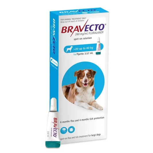 Bravecto Flea Treatment Spot-on For Dog 20-40kg