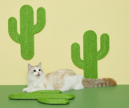 VERESKA Cactus Wall Scratcher