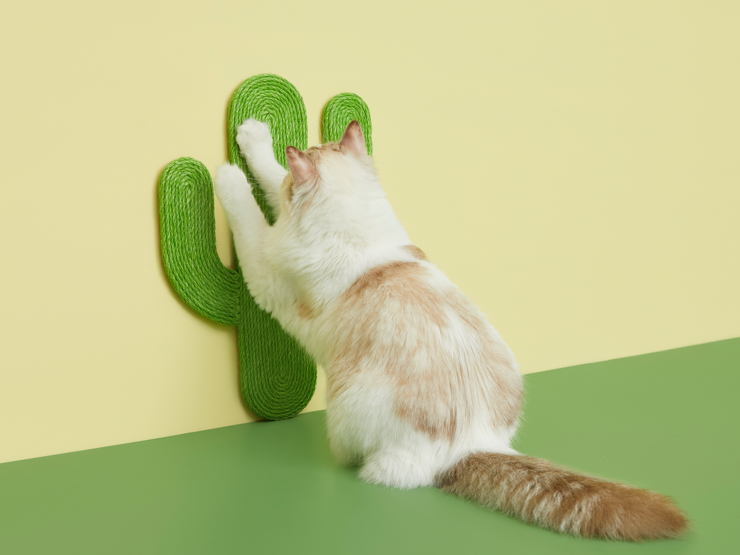 VERESKA Cactus Wall Scratcher