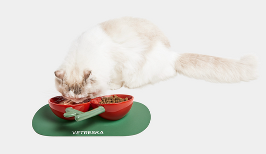 VETRESKA Like A Cherry Ceramic Bowl for Cat