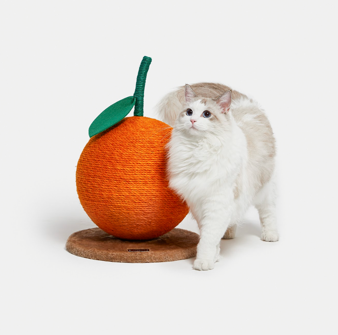 VERESKA Orange Cat Scratcher