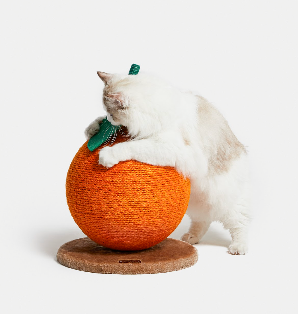 VERESKA Orange Cat Scratcher