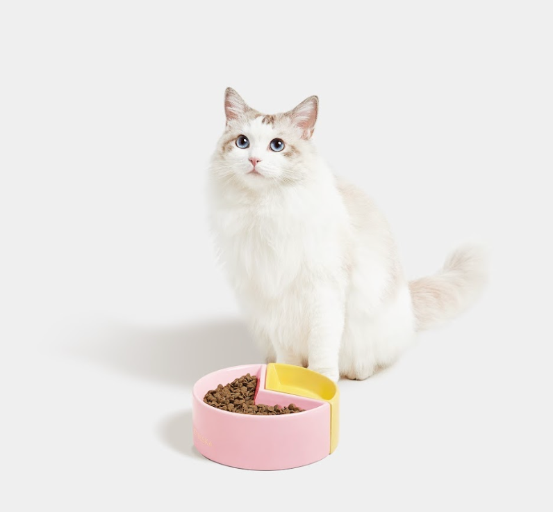 VETRESKA Watermelon & Grapefruit Cerimic Pet BOWL