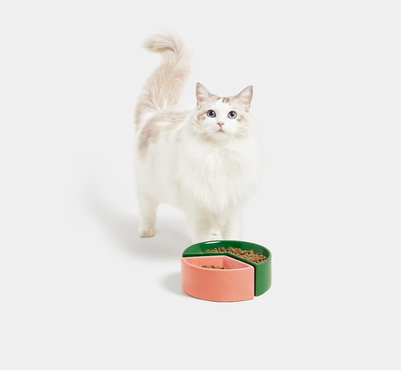 VETRESKA Watermelon & Grapefruit Cerimic Pet BOWL