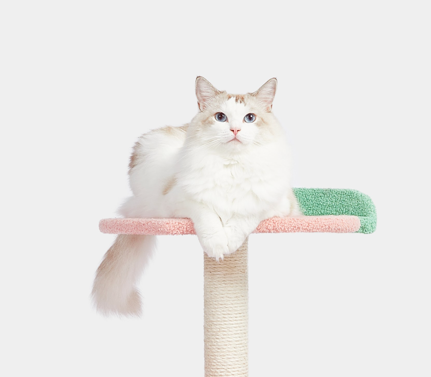 VETRESKA Fruity Cat Climber