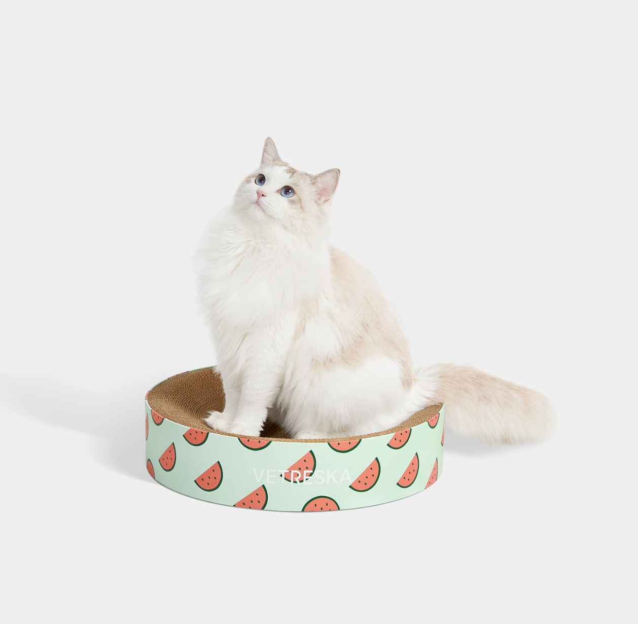 VERESKA Watermelon Cat scratching Bed