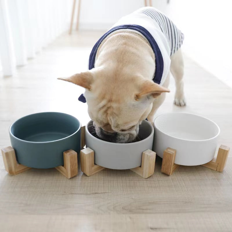 HoMings Pet Large Ceramic Pet Bowls