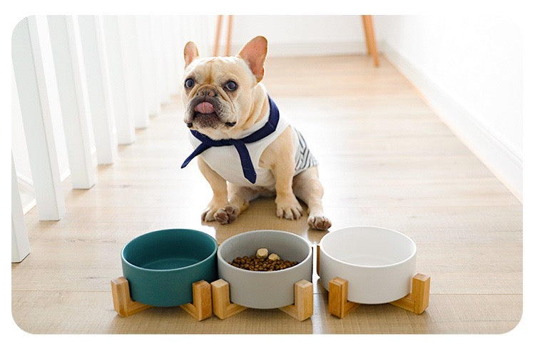 HoMings Pet Large Ceramic Pet Bowls