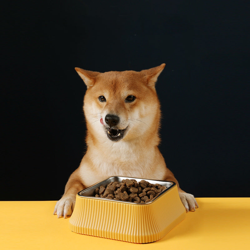 HoMings Pet Bowl for Dog