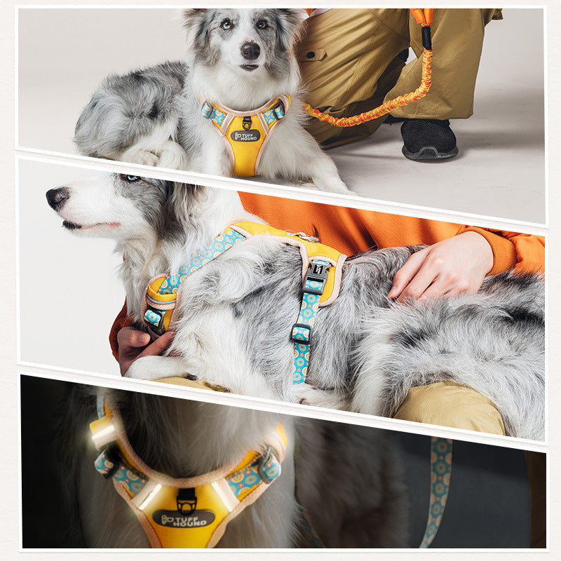 Tuff Hound Dog Harness with Lead Orange Medium