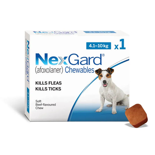 Nexgard Chewable Tablet Flea & Tick Treatment 4.1-10kg (1 pack)