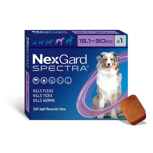 Nexgard Spectra Flea Tick & Worm Chewable Treatment 15.1-30kg (1 pack)