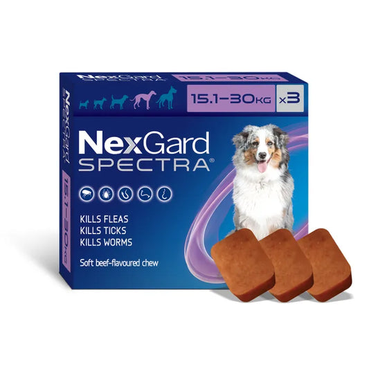 Nexgard Spectra Flea Tick & Worm Chewable Treatment 15.1-30kg (3 packs)