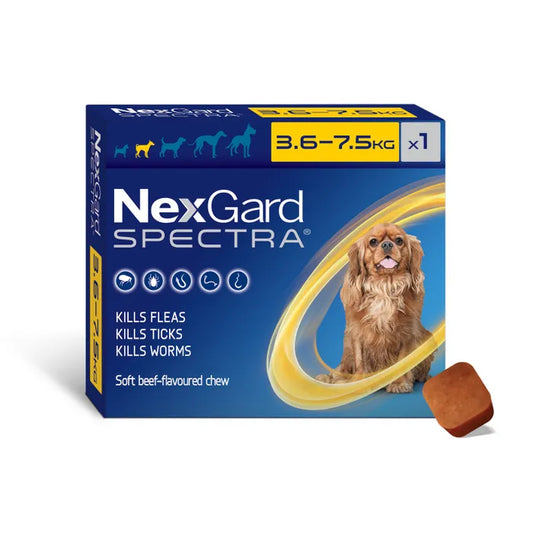 Nexgard Spectra Flea Tick & Worm Chewable Treatment 3.6-7.5kg (1 pack)