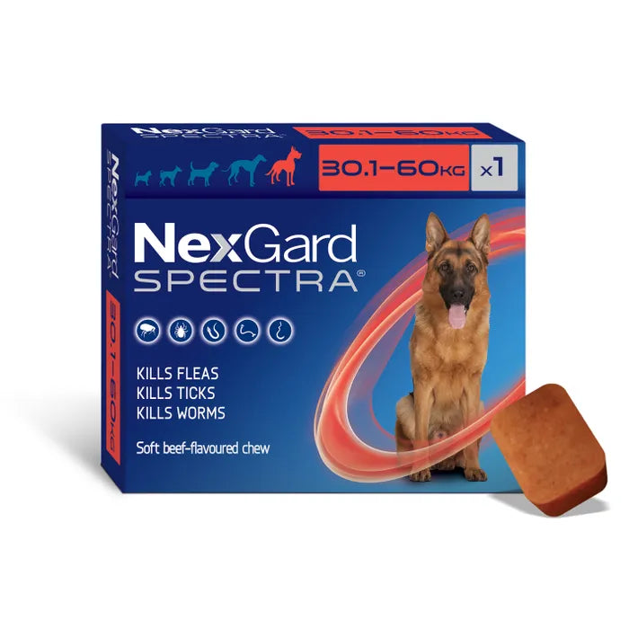 Nexgard Spectra Flea Tick & Worm Chewable Treatment 30.1-60kg (1 pack)