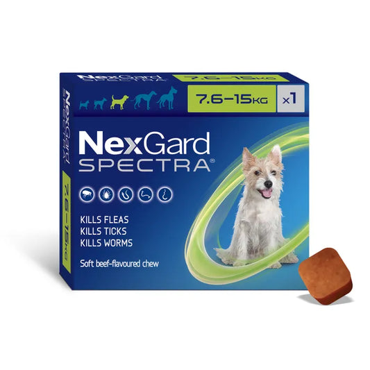 Nexgard Spectra Flea Tick & Worm Chewable Treatment 7.6-15kg (1 pack)